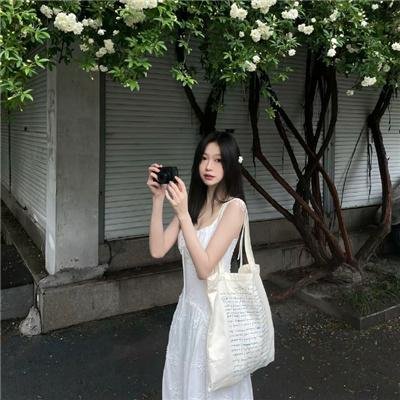 脂粉英雄